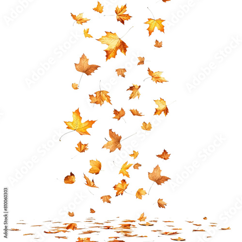 Falling leaves in autumn, the background is transparent. It's an illustration.
