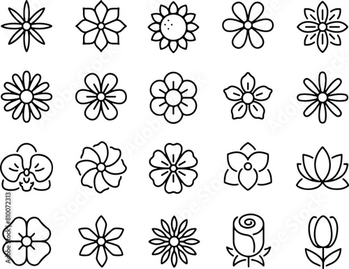Pixel perfect icon set of flowers floral gardening rose plant petal daisy clover ornate flower blossom lily. Thin line icons flat vector illustrations isolated on white and transparent background