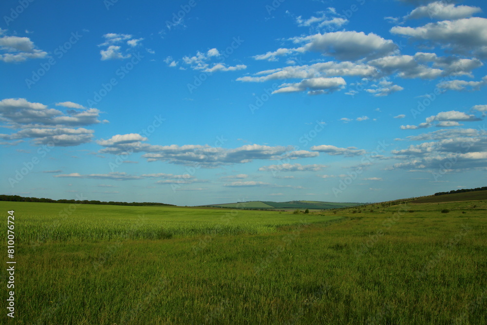 A grassy field with blue sky and clouds A grassy field with blue sky and clouds