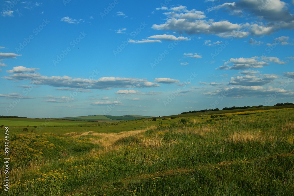 A grassy field with blue sky and clouds A grassy field with blue sky and clouds
