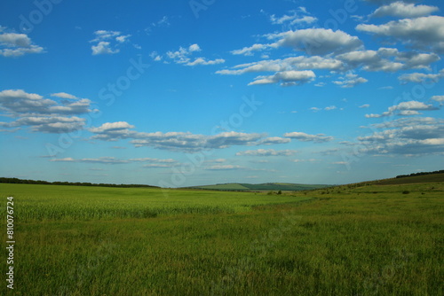 A grassy field with blue sky and clouds