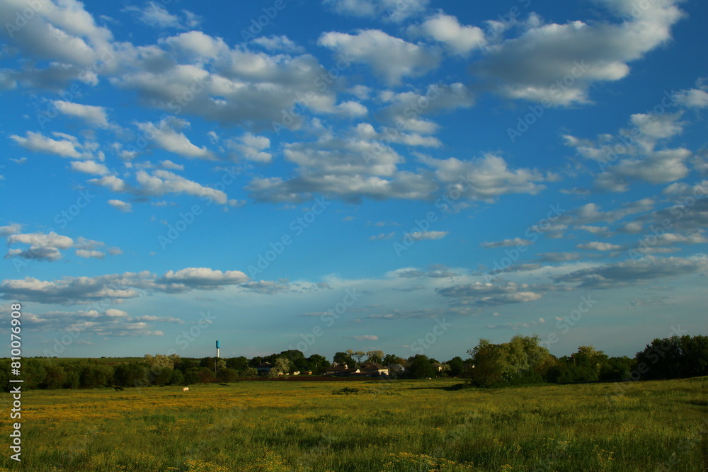 A field with trees and blue sky A field with trees and blue sky