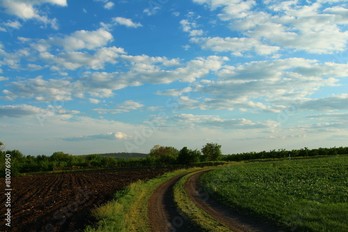 A dirt road through a field