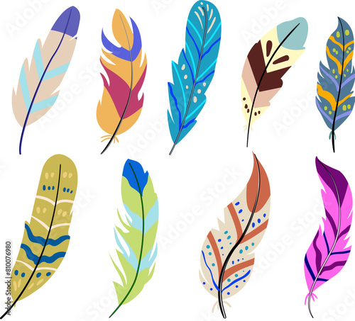 feather exotic bird set cartoon. parrot wing, color animal, texture tropical feather exotic bird sign. isolated symbol vector illustration