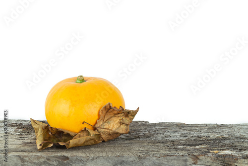 A small orange pumpkin fruit sits on a leaf. The fruit is surrounded by a leaf that is slightly wilted. The scene is simple and peaceful, with the fruit and leaves creating a sense of calmness