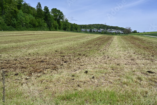 In the Swiss countryside, a field near the village of Uitikon is fertilized with natural manure come springtime. photo