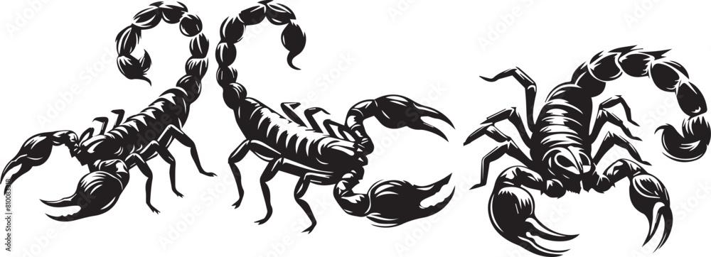 SCORPIONS silhouette vector EPS SET SCORPIONS silhouette vector EPS SET