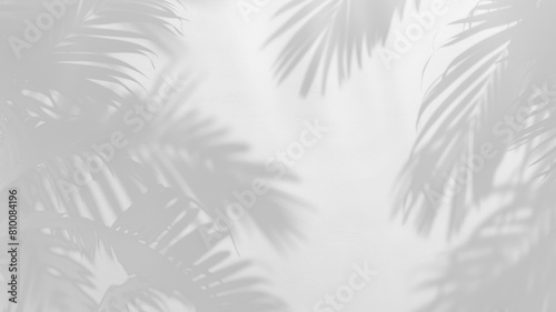 Light and shadow from tropical leaves  overlay effect of shadows isolated on transparent background