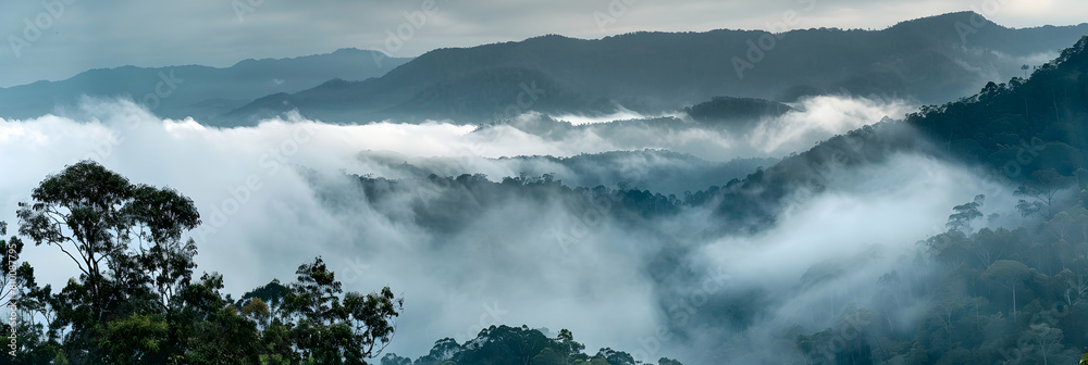 Early morning fog rolling over a subtropical mountain range, with peaks emerging above the dense, misty cover