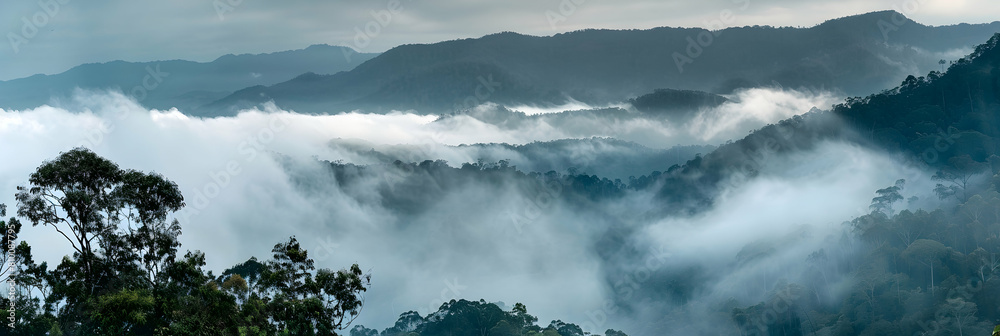 Obraz premium Early morning fog rolling over a subtropical mountain range, with peaks emerging above the dense, misty cover