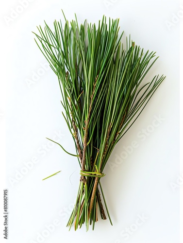 A bundle of fresh pine needles