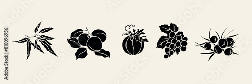 Flat vector cosmetic oil plants collection