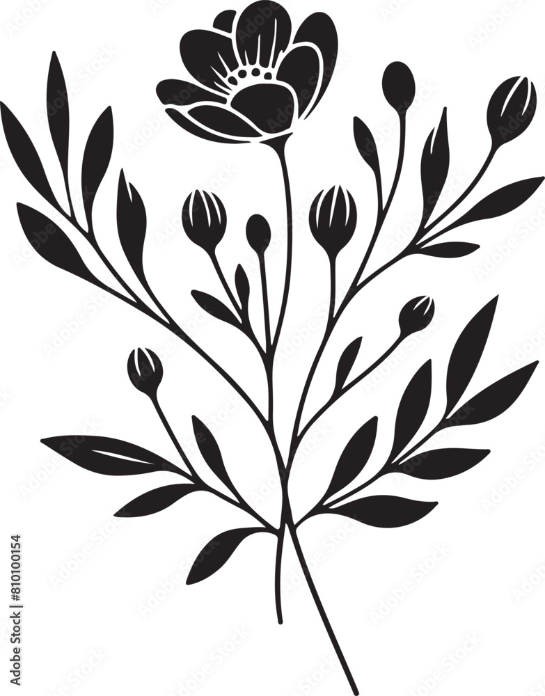 black and white flower black and white flower