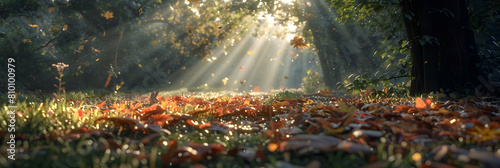 Sunbeams breaking through a dense canopy in a deciduous forest, illuminating a carpet of fallen leaves and small wildflowers, captured in ultra HD