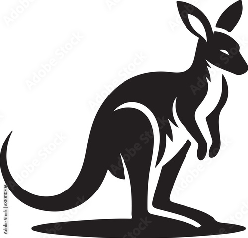 kangaroo illustration