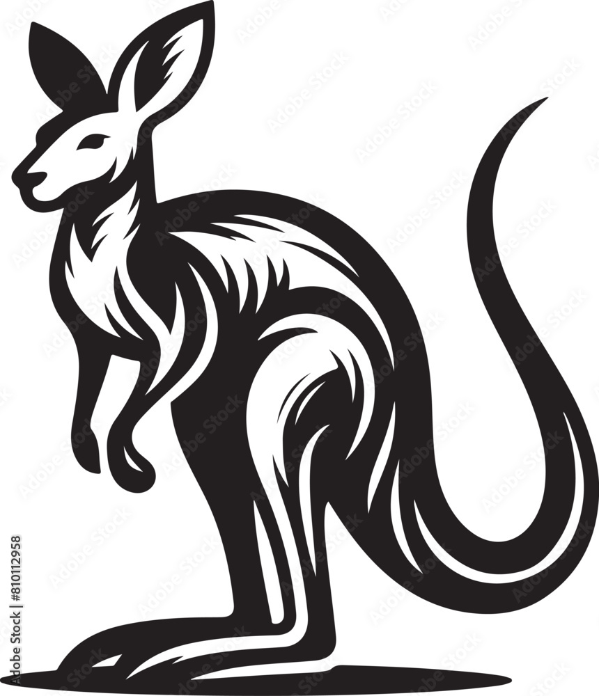 Fototapeta premium kangaroo illustration