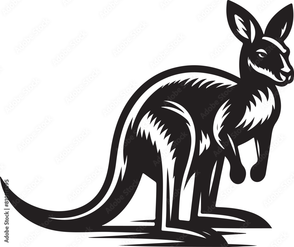 kangaroo illustration kangaroo illustration