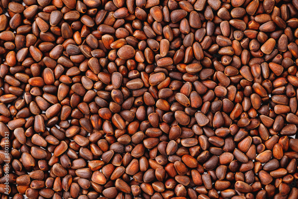 Top view Texture fresh brown pine Cedar nuts in shell as background Top view Texture fresh brown pine Cedar nuts in shell as background