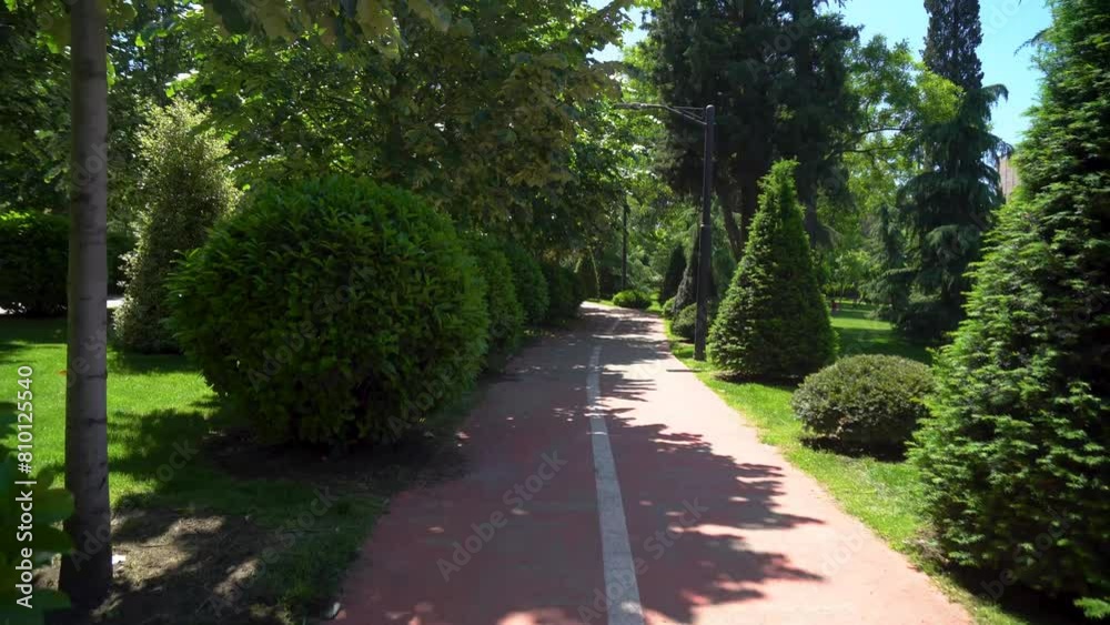 Pathway and beautiful trees track for running or walking and cycling in the park Pathway and beautiful trees track for running or walking and cycling in the park