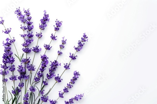 A beautiful bouquet of lavender flowers on a white background