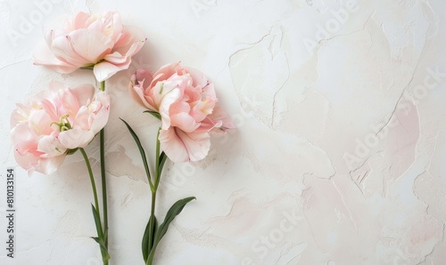 Three pink flowers are arranged in a vase on a white background. The flowers are the main focus of the image, and they create a sense of beauty and elegance