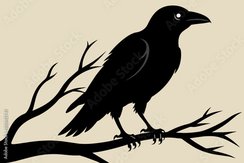 Crow setting on a branch  vector silhouette 