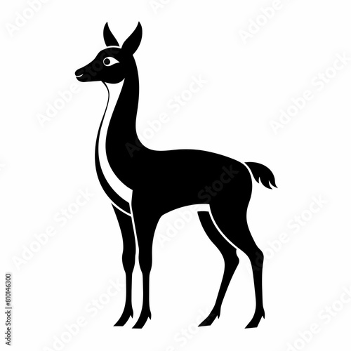 Vicuna vector silhouette 