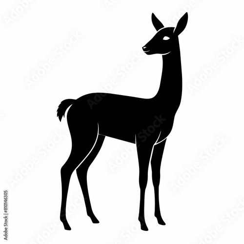 Vicuna vector silhouette 