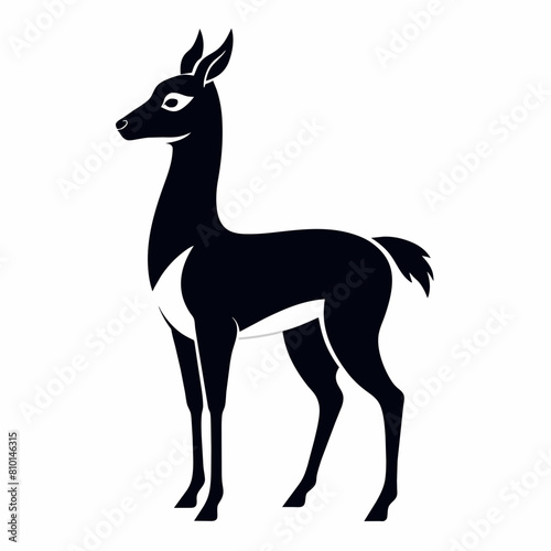 Vicuna vector silhouette 