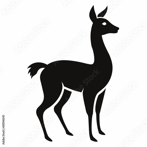 Vicuna vector silhouette 