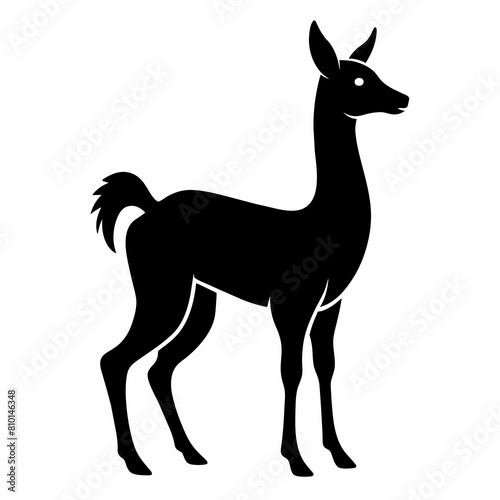 Vicuna vector silhouette 