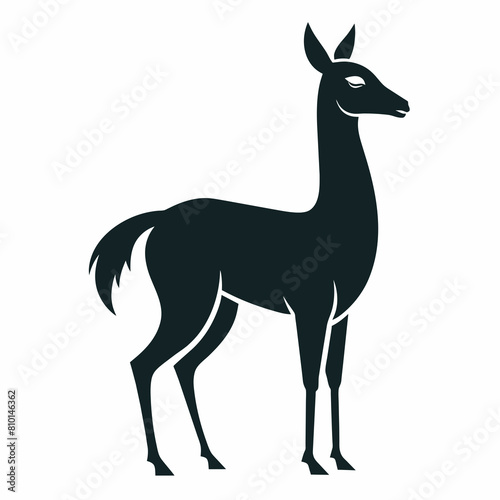 Vicuna vector silhouette 