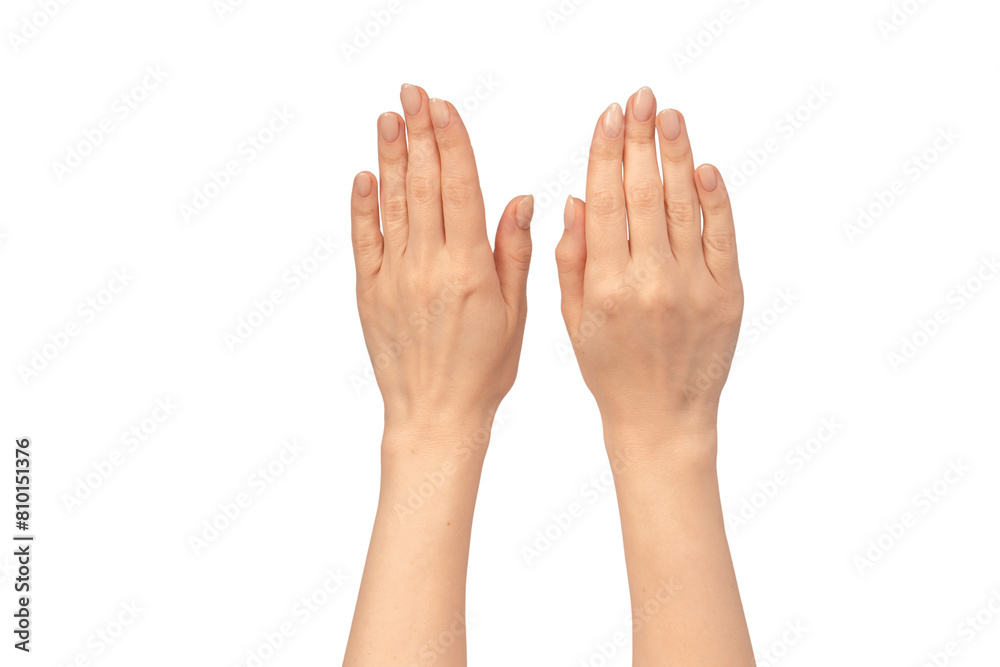 Woman hands isolated on a white background. Nude nail polish. Woman hands isolated on a white background. Nude nail polish.