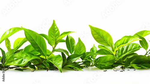 Green tea leaves on a white background.