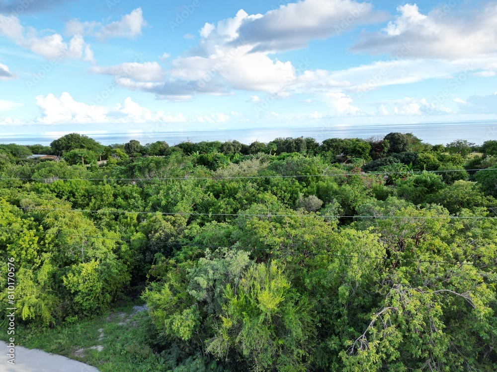 Obraz premium Lush greenery surrounding the the Bluff, Cayman Brac sister island of Grand Cayman, Cayman Islands