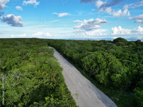 Lush greenery surrounding the the Bluff, Cayman Brac sister island of Grand Cayman, Cayman Islands