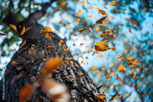 Leaves swirling down from a tree, symbolizing the seasonal change and the continuous cycle of life