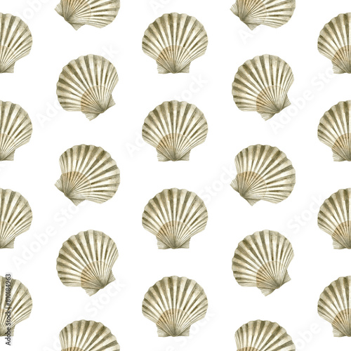 Seamless pattern of watercolor Seashells. Hand drawn illustration of sea Shell on white background. Ocean Cockleshell marine underwater. Colorful drawing of Scallop. For print decoration, fabric wrapp