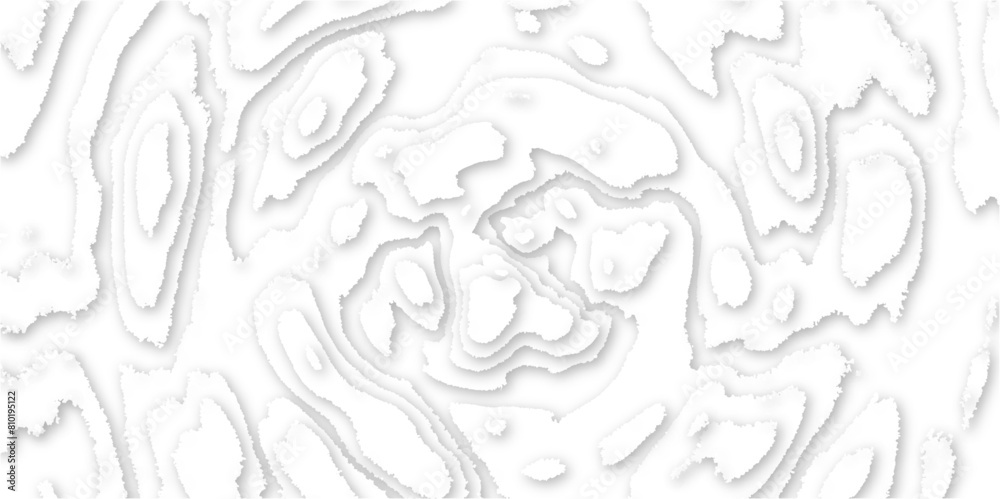 Difference shape of modern realistic 3d effect wavy layers futuristic paper art design, paper cut topography map relief vector abstract white wave layers design layout for background presentation.