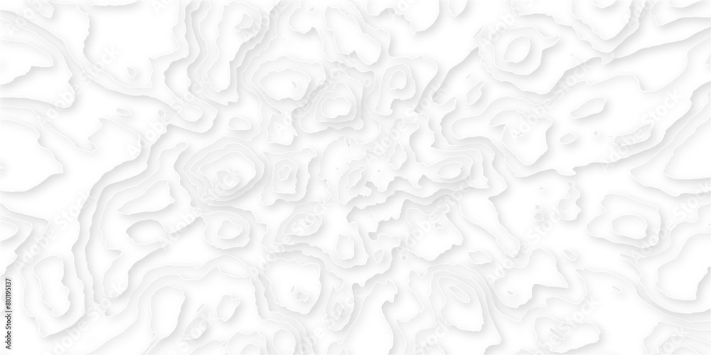 Difference shape of modern realistic 3d effect wavy layers futuristic paper art design, paper cut topography map relief vector abstract white wave layers design layout for background presentation. Difference shape of modern realistic 3d effect wavy layers futuristic paper art design, paper cut topography map relief vector abstract white wave layers design layout for background presentation.
