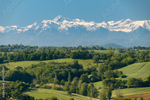 Countryside landscape in the Gers department in southwestern France with the Pyrenees mountains in the background