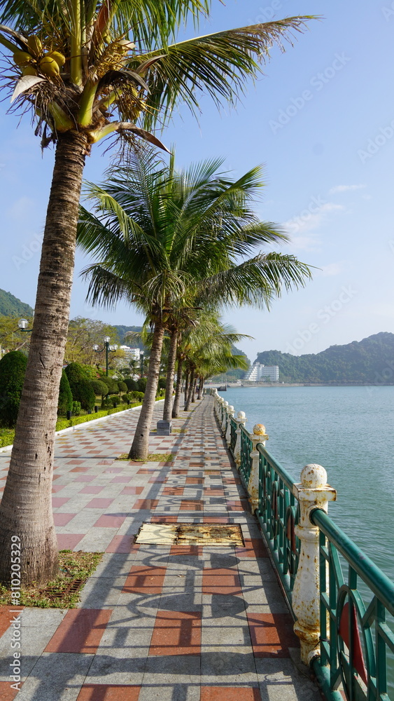 road with palm trees and sky and oceans Cat Ba Vietnam