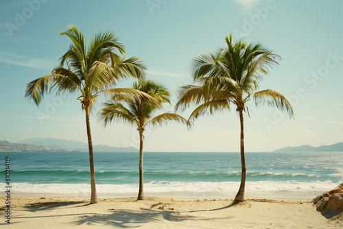 palm trees in summer on a beach in Mexico