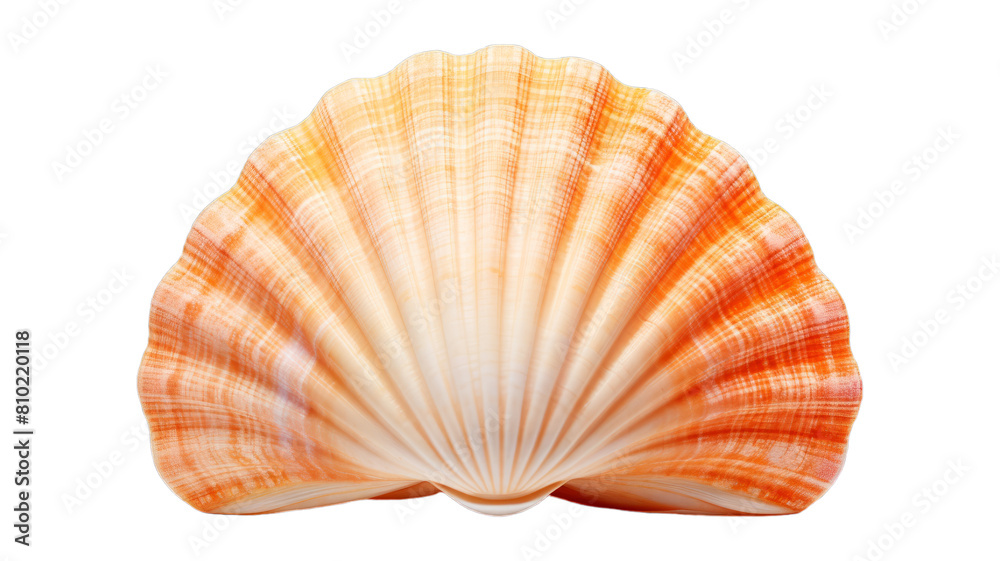 seashell isolated on transparent png background. Generative ai