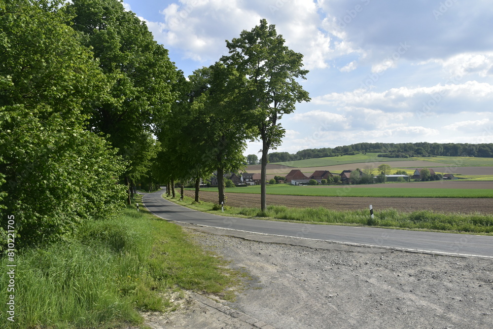 Straße und Landschaft in Wittenburg bei Elze