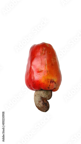 Fruta caju vermelho, orgânico, saboroso, com a semente, png.