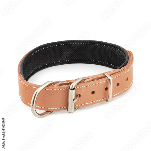 dog collar leather belt