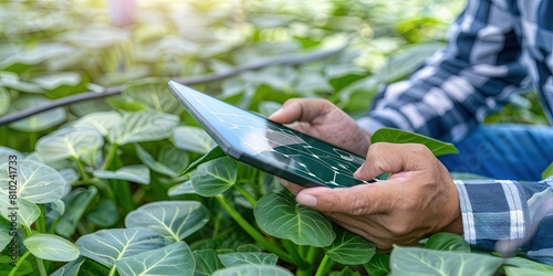 farmer working in the field with a smartphone - agribusiness and agrotechnology concept photo