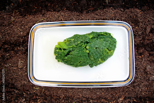 blanching bio spinach for further processing photo