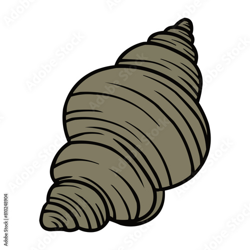 Clamshell Vector, Clamshell Summer Decoration, Seashell Summer Beach Vector Design